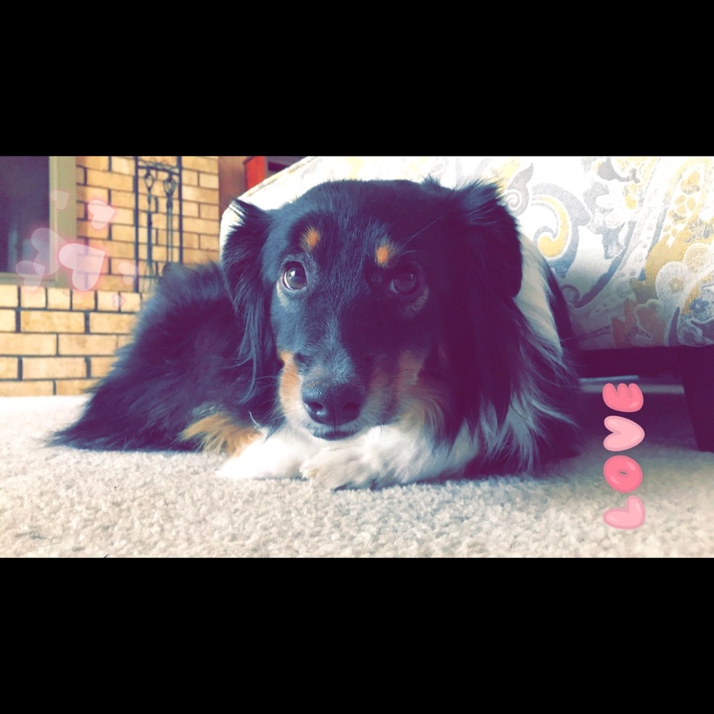 Meet your Posher, Ave